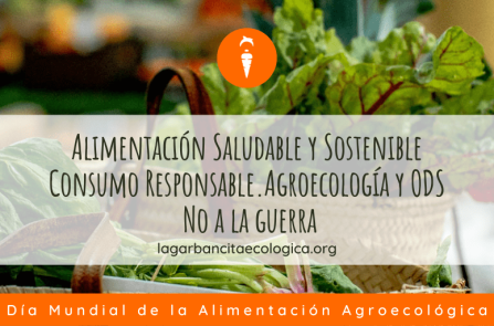 16-de-octubre-2022