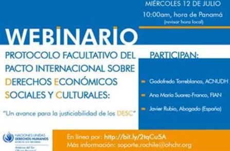 Imagen seminario virtual NNUU