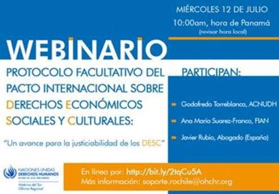 Imagen seminario virtual NNUU